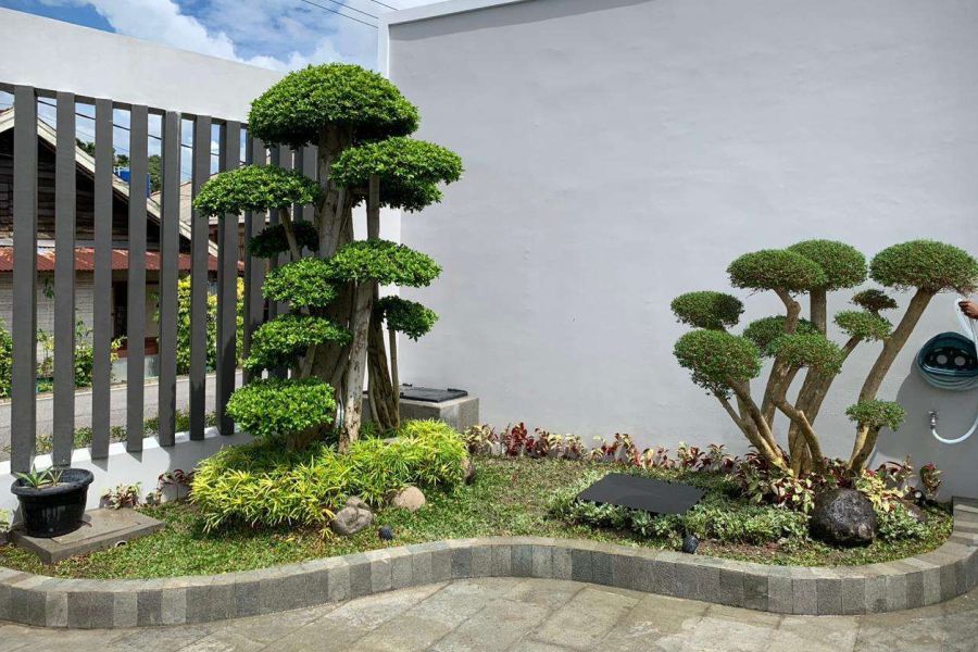 Jasa Pembuatan Taman Landscape