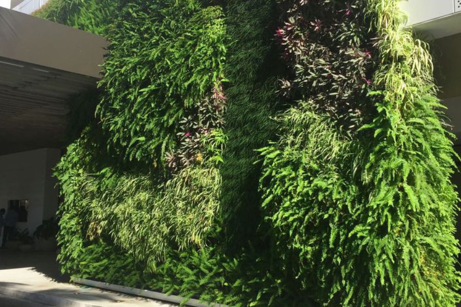 Jasa Vertikal Garden